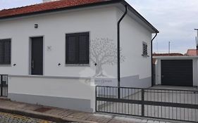 Oliveira'S Dream - Stay Good, Feel Good